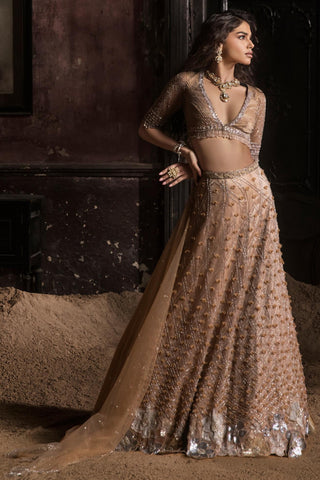 Beige oraan 3D lehenga set