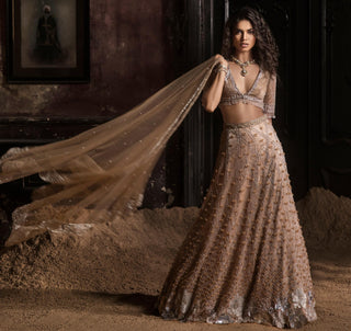 Beige oraan 3D lehenga set