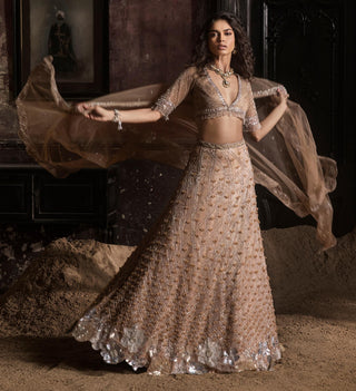 Beige oraan 3D lehenga set