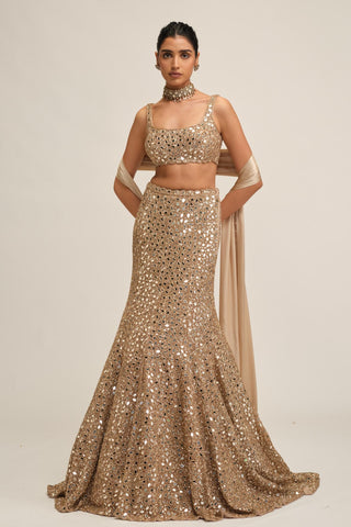 Fishcut Lehenga Set - Indian Wedding - Beige Modern Maharani Mirror by Vvani by Vani Vats