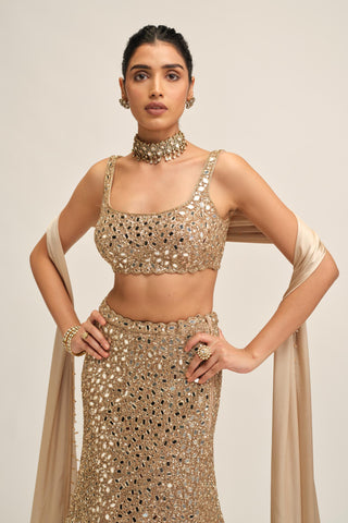Fishcut Lehenga Set - Indian Wedding - Beige Modern Maharani Mirror by Vvani by Vani Vats