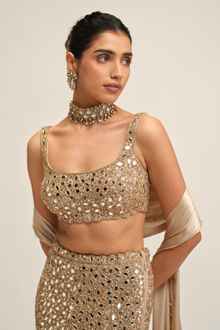Fishcut Lehenga Set - Indian Wedding - Beige Modern Maharani Mirror by Vvani by Vani Vats