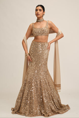Fishcut Lehenga Set - Indian Wedding - Beige Modern Maharani Mirror by Vvani by Vani Vats