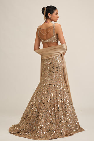 Fishcut Lehenga Set - Indian Wedding - Beige Modern Maharani Mirror by Vvani by Vani Vats