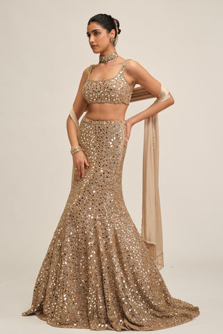 Fishcut Lehenga Set - Indian Wedding - Beige Modern Maharani Mirror by Vvani by Vani Vats