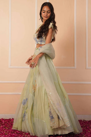 Green dil se sariyah lehenga