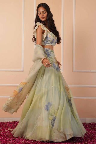 Green dil se sariyah lehenga