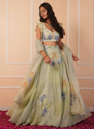 Green dil se sariyah lehenga
