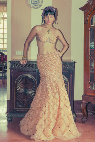 Mermaid Lehenga Set for Indian Wedding - Peach Grace and Other Accidents by The Little Black Bow