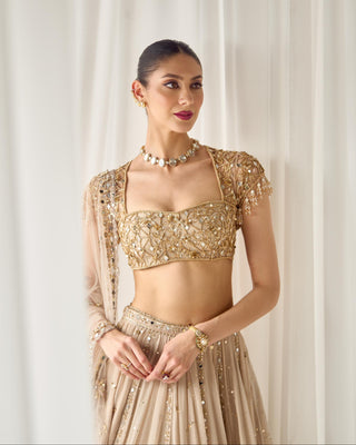 Lehenga Set Mukaish Wear - Beige Lehenga by Sanya Gulati