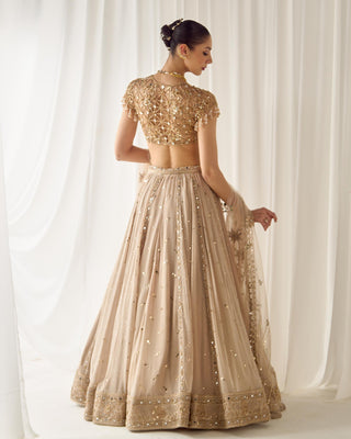 Lehenga Set Mukaish Wear - Beige Lehenga by Sanya Gulati