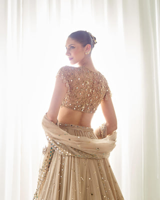 Lehenga Set Mukaish Wear - Beige Lehenga by Sanya Gulati