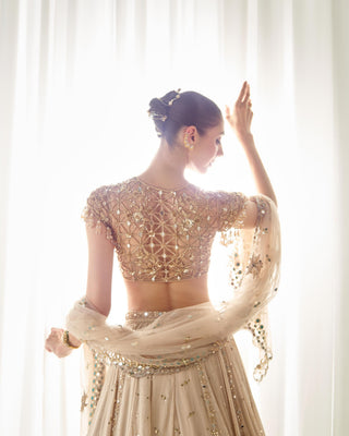 Lehenga Set Mukaish Wear - Beige Lehenga by Sanya Gulati