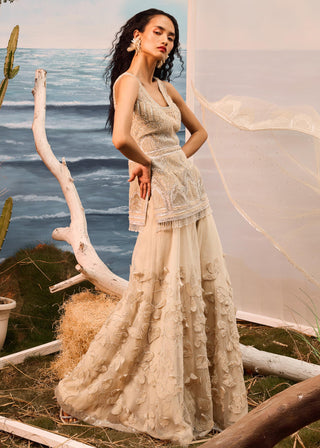 Beige florentia applique sharara set