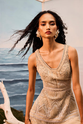 Beige florentia applique sharara set