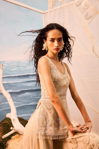 Beige florentia applique sharara set