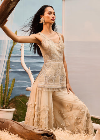 Beige florentia applique sharara set