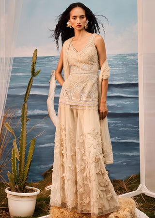 Beige florentia applique sharara set