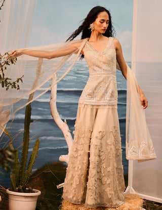 Beige florentia applique sharara set