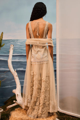 Beige florentia applique sharara set