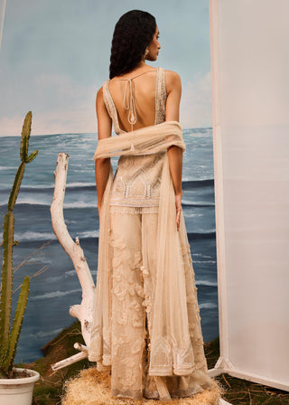 Beige florentia applique sharara set