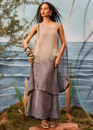 Gray florentia pre-draped double-layer tunic sari