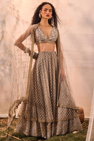 Gray florentia lehenga with blouse and dupatta
