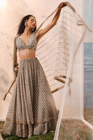 Gray florentia lehenga with blouse and dupatta