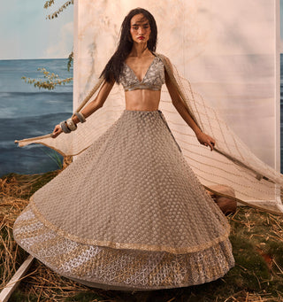 Gray florentia lehenga with blouse and dupatta