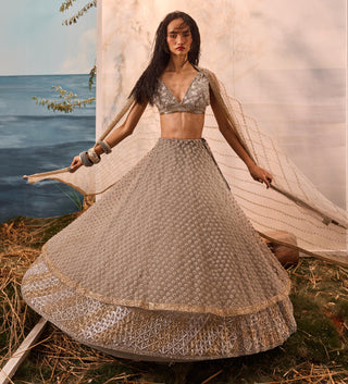 Gray florentia lehenga with blouse and dupatta