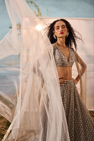 Gray florentia lehenga with blouse and dupatta