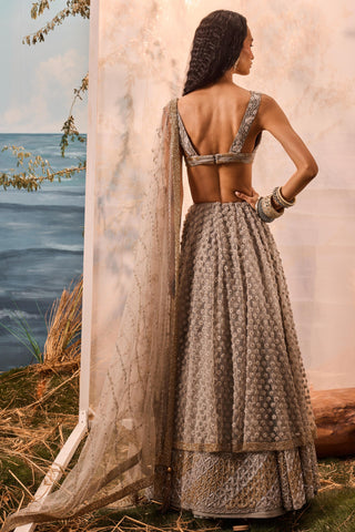Gray florentia lehenga with blouse and dupatta