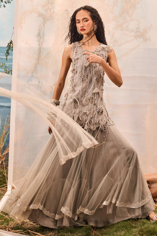 Gray florentia top with lehenga and stole