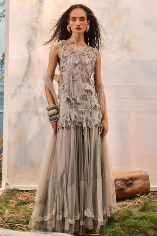 Gray florentia top with lehenga and stole