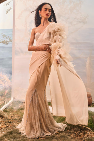 Beige florentia sari with corset blouse