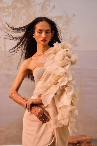 Beige florentia sari with corset blouse