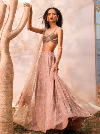 Burnt pink florentia lehenga with blouse and dupatta
