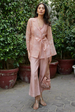 Handbag – Pink Hobo Handbag – Plode