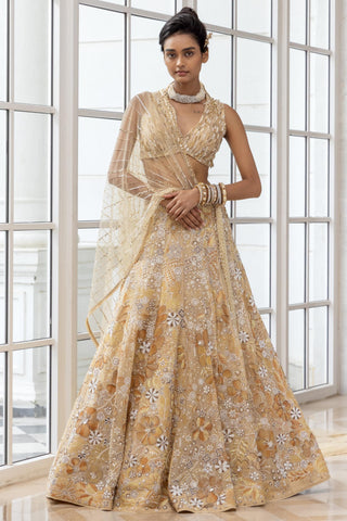 Embellished Lehenga for Indian Weddings – Terra Set by House of Armuse