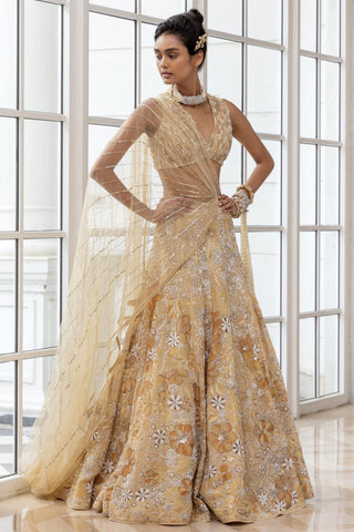 Embellished Lehenga for Indian Weddings – Terra Set by House of Armuse