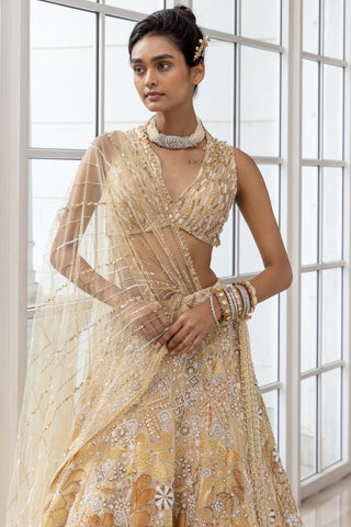 Embellished Lehenga for Indian Weddings – Terra Set by House of Armuse
