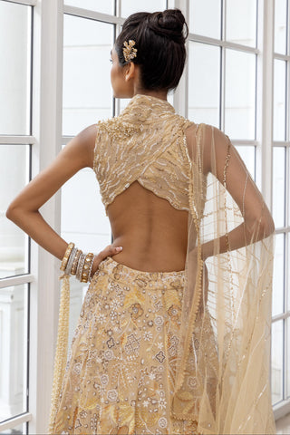 Embellished Lehenga for Indian Weddings – Terra Set by House of Armuse