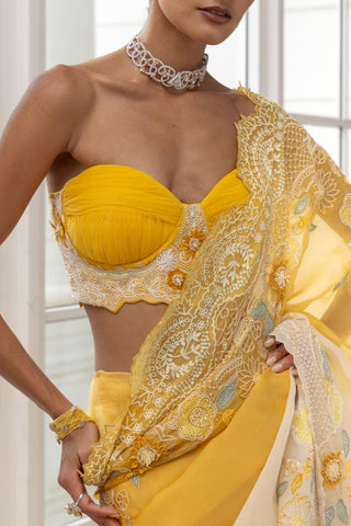 Draped Saree for Indian Weddings – Heliane by House of Armuse