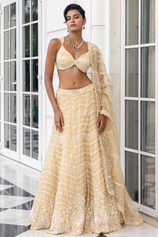 Lehenga set for Indian Wedding – Altheris Cream by House of Armuse