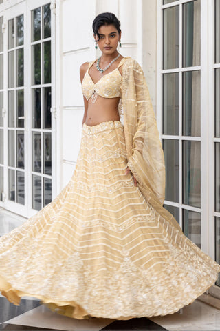 Lehenga set for Indian Wedding – Altheris Cream by House of Armuse