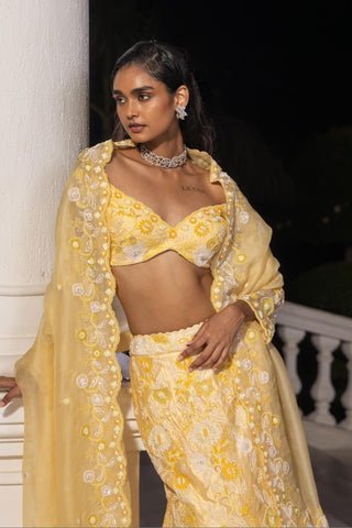Fishcut lehenga set for Indian Wedding – Auryss Yellow by House of Armuse