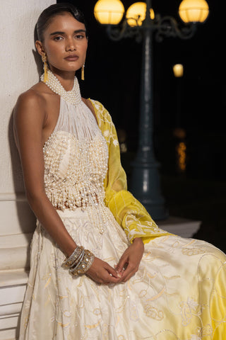 Lehenga set for Indian Wedding – Cirelle Ombre by House of Armuse