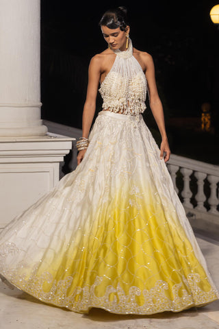 Lehenga set for Indian Wedding – Cirelle Ombre by House of Armuse