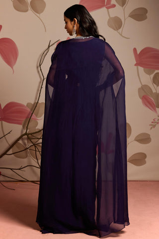 Blue holly under bloom draped saree