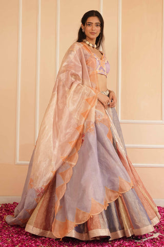 Blue dil se anika lehenga